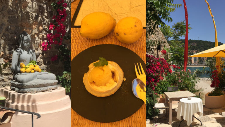 Führungskräfteseminar auf Mallorca